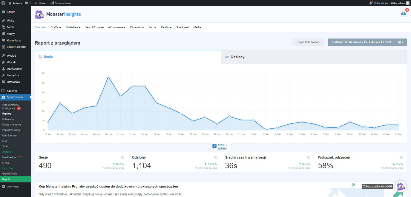 MonsterInsights Lite | nazwa.pl